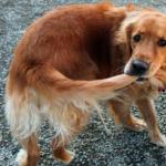 mission-accomplished