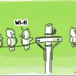 wifi